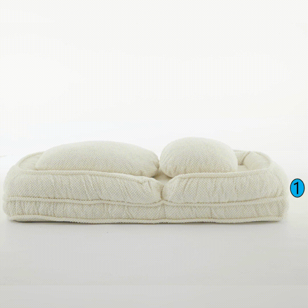 Foldable Human Dog Bed